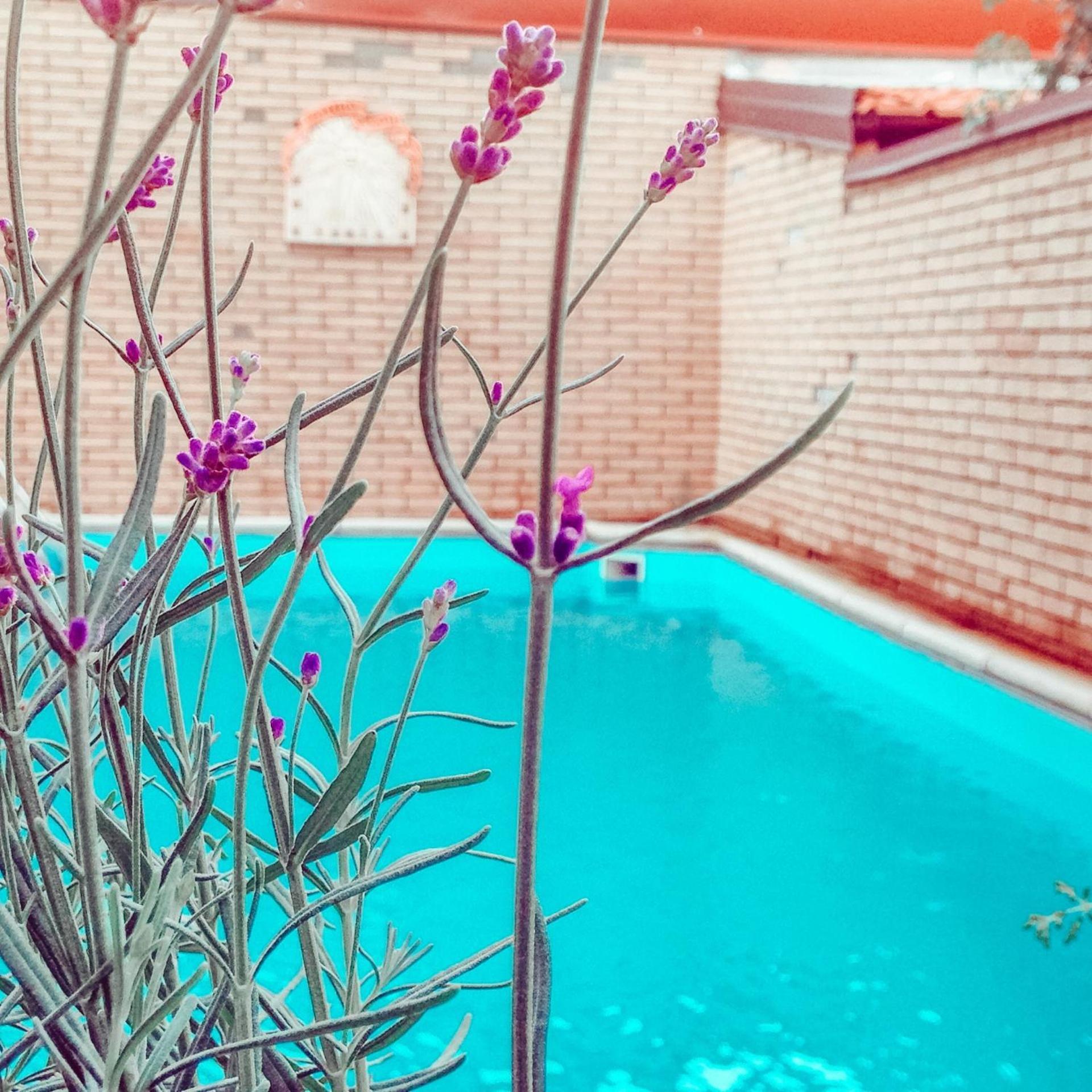 La Villa Di Bambi Vanzago Dış mekan fotoğraf